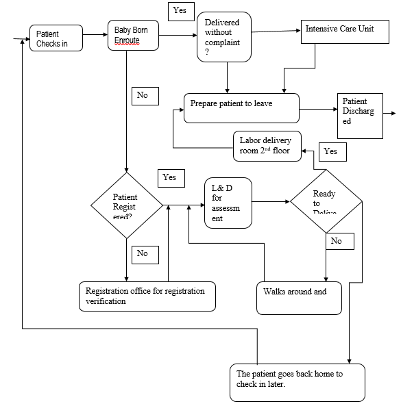 Arnold Palmer Hospital Process Flow Chart
