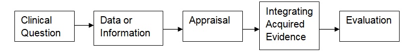  A model for developing an evidence-based project.