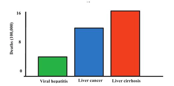 Global mortality from viral hepatitis, liver cancer, and cirrhosis in 2010.