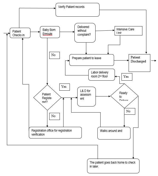 The Arnold Palmer Hospital's Process Flow Chart