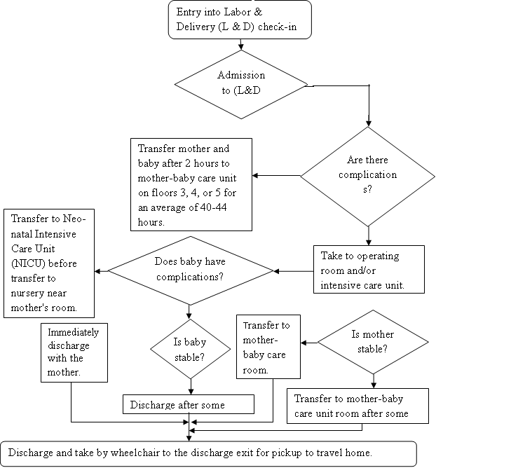 Relevant Process to Be Analyzed By the Hospital