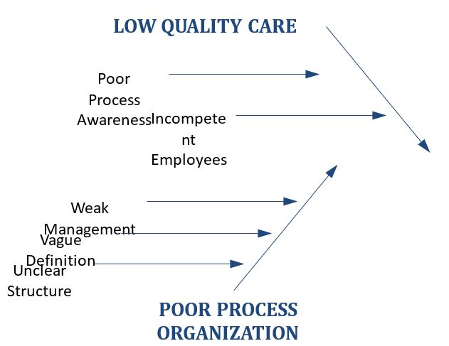 Cause and Effect – Fishbone Diagram.