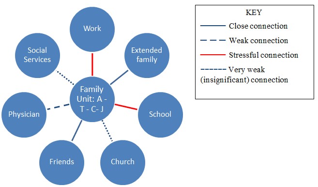 Family Health Assessment Family s Ecomap And Genogram Healthcare 