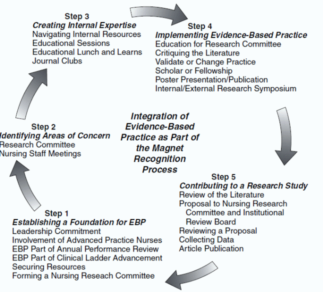 The Importance of Evidence-Based Practice in Nursing