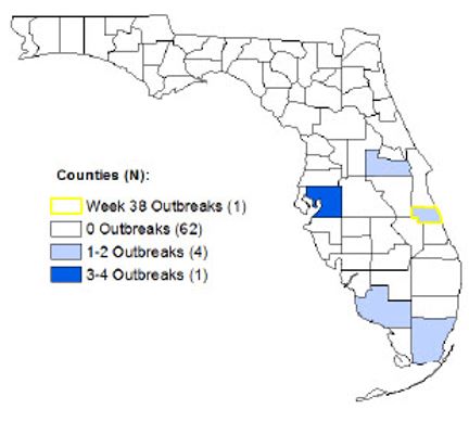 Week 37 and 38 County Influenza Activity Level