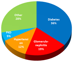 Prevalence of Chronic Kidney Disease.