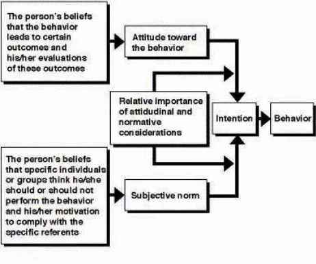 The Reasoned Action Model