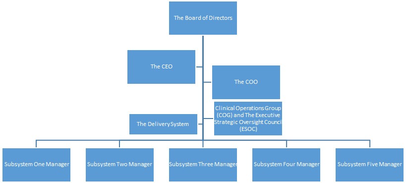 The Structure of the Organization