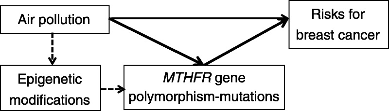 Polymorphism-Mutations and Air Pollution as Risk Factors for Breast Cancer