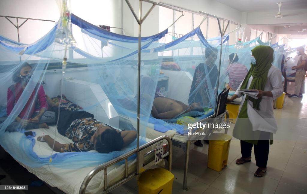 Dengue patients hospitalized in Bangladesh