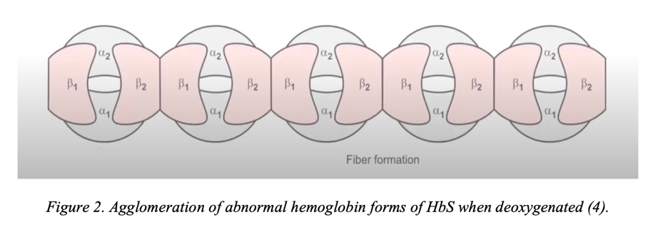 Agglomeration