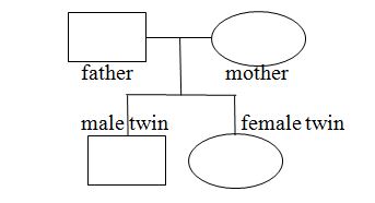 Family genogram