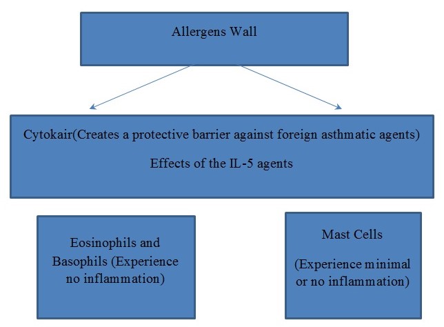 Diagram showing where Cytokair interacts with Asthma