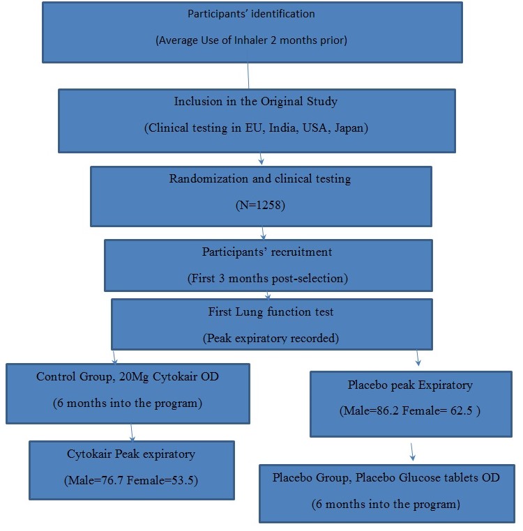 A flow chart illustration of the study protocol