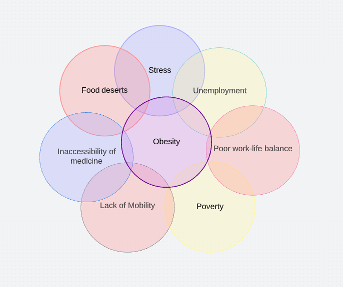 US obesity factors