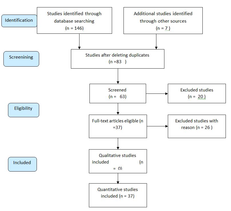 Flow diagram (PRISMA) of the process of identifying and including references.