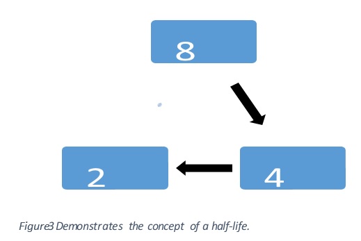  Demonstrates the concept of a half-life