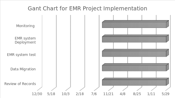 Gant Chart for EMR Project Implementation