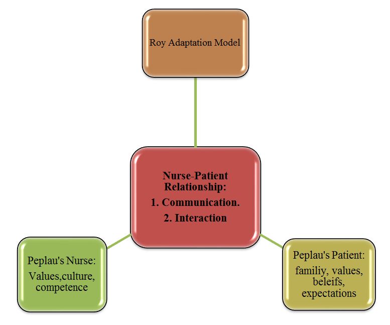 Graphical representation of Roy’s Adaptation model, Nurse-patient theoretical model, and Peplau’s Interpersonal Relations Theory