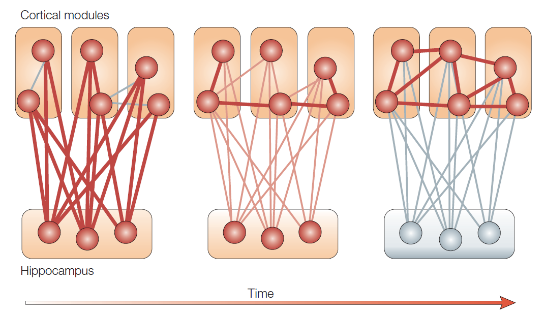 Consolidation model