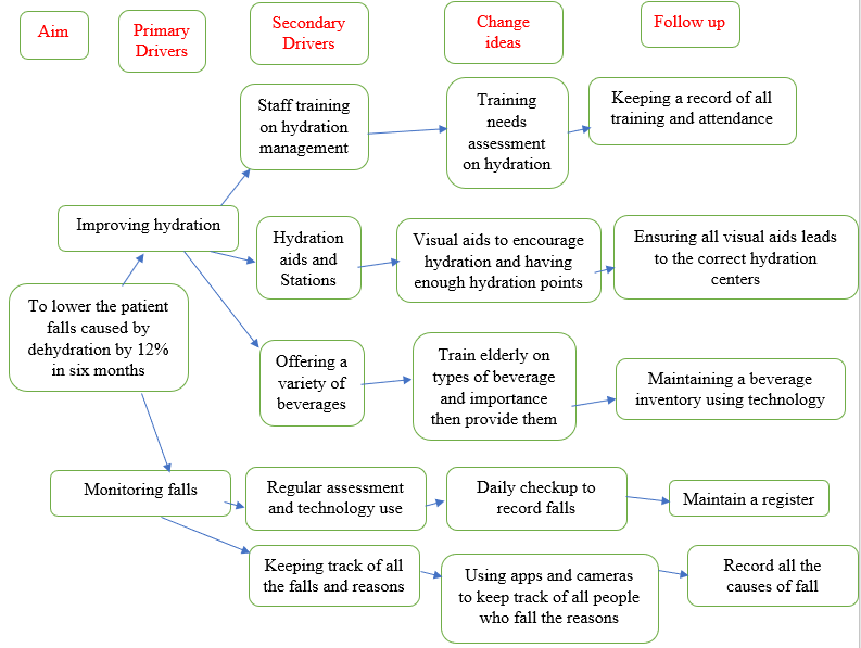 Driver diagram to drive the change in the care setting