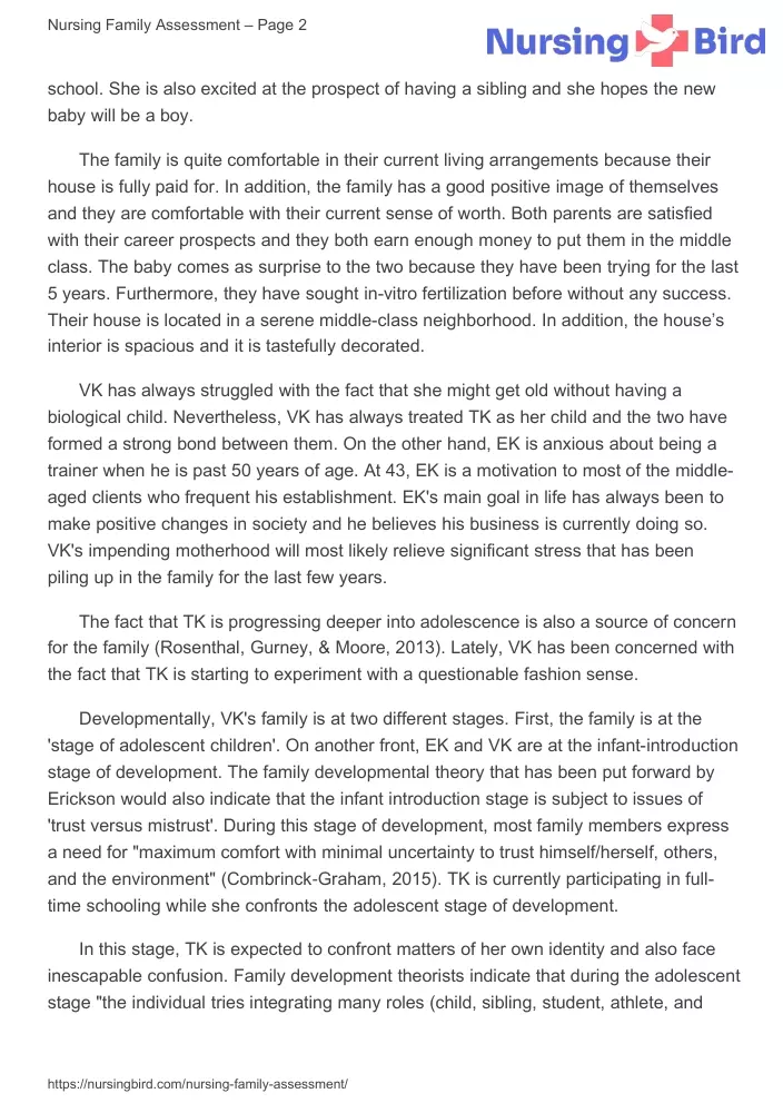 First Level Assessment Example Family Assessment Developmental Stages